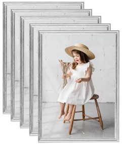 vidaXL Molduras para parede ou mesa 5 pcs 29,7x42 cm prateado