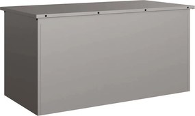 vidaXL Caixa de Armazenamento Externa Ferro Enferrujado