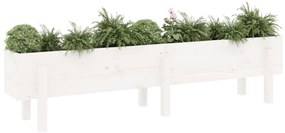 Canteiro elevado de jardim 160x30x38 cm pinho maciço branco