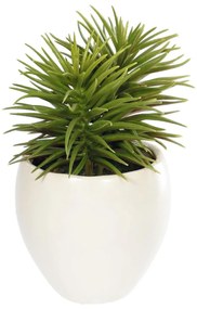 Kave Home - Planta artificial Pinho com vaso de cerâmica branco 16 cm
