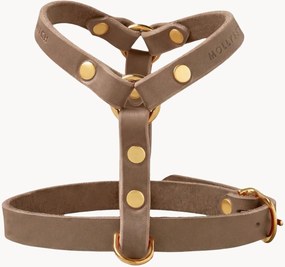 Peitoral para cão em pele Y-Harness, vários tamanhos