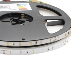 Fita LED monocolor SMD3014, DC24V, 5m (60 Led/m), 30W, IP68 à prova d'água, Branco Frio