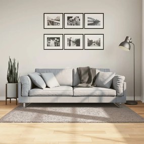 Tapete shaggy de pelo alto PAMPLONA 120x170 cm bege