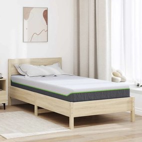 vidaXL Colchões Branco, Cinza 100 x 200 cm