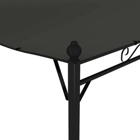 Toldo 3x2,4 m antracite