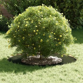 Plantadeira de Plástico Verde oliva Plástico Grande