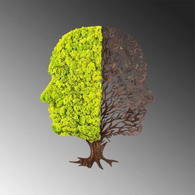 Acessório Decorativo de Parede Green And Dry – Verde e Castanho – 45 x