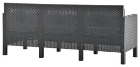 3 pcs conjunto lounge jardim com almofadões vime PP antracite