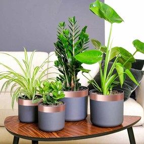 vidaXL Fita de cobre 6 pcs Cobre 2000 x 5 cm Cobre