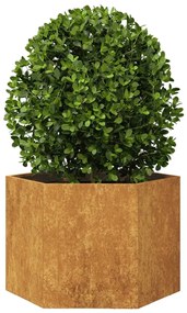 Vaso floreira de jardim hexagonal 69x60x45cm resistência ao aço