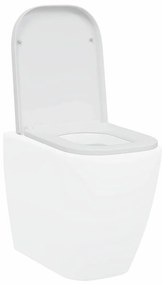 Assento de Vaso Sanitário com Liberação Rápida e Fechamento Suave Duro