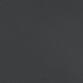 Toldo lateral retrátil 200x1200 cm preto