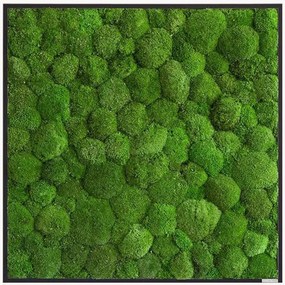 Quadro emoldurado artesanal com musgo Ball Forest