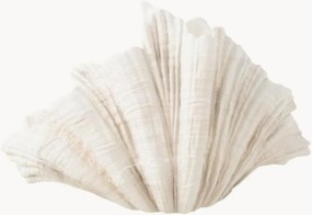 Jarra Clam, Alt 31 cm