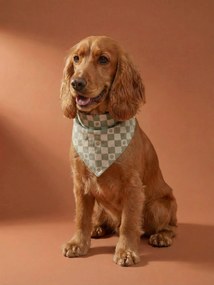 Bandana de algodão, para cão branco estampado