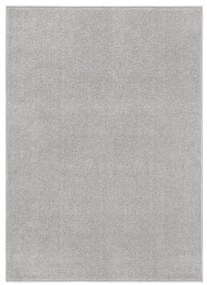 340323 vidaXL Tapete de pelo curto 120x170 cm cinzento-claro