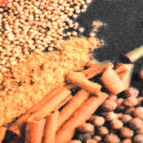 Tapete de cozinha lavável com design especiarias 45x150 cm