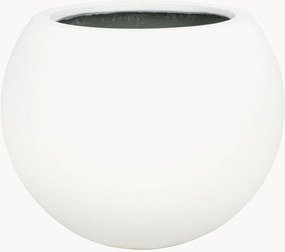 Vaso Kenslia