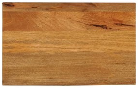 vidaXL Tampo de mesa c/ borda viva 50x40x3,8 cm mangueira maciça