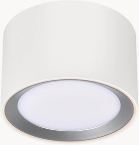 Candeeiro de teto LED regulável Landon
