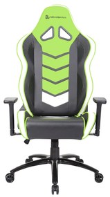 Cadeira de Gaming Newskill Kaidan Verde