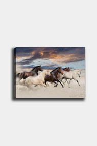 Pintura Decorativa em Tela 310236866 – Multicolor – 50 x 70 cm