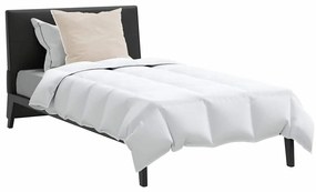 Edredão com travesseiro 2 pcs Branco 155 x 220 cm Penugem