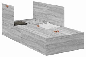 Cama de Armazenamento Cinza Sonoma 100x200 cm