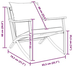 Cadeiras de jardim com almofadões 2 pcs aço preto