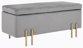 HOMCOM Banco Pé de Cama para Dormitório 70L em Veludo Pés de Metal para Entrada Sala de Estar 100x40x42 cm Cinza Claro