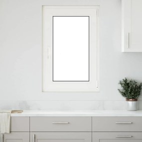 vidaXL Janela de porão "RISOR" 60x100 cm oscilobatente DIN direita antracite