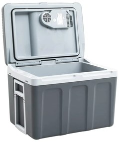 Refrigerador/mala térmica portátil 40 L 12 V 230 V E