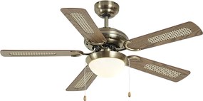 Ventilador de teto latão com impressão de madeira e rattan 105cm com interruptor de tração - Mistral Majas