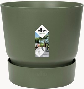 Vaso Greenville