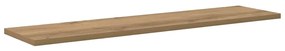 Prancha de Estante para Livros 4 pcs Castanho 100 x 40 x 1.5cm