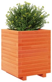 Vaso/floreira de jardim 40x40x49,5cm pinho maciço castanho mel