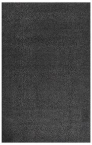 vidaXL Tapete shaggy de pelo alto 200x290 cm antracite