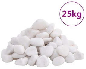 vidaXL Seixos polidos 25 kg 2-5 cm branco