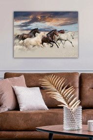 Pintura Decorativa em Tela 310236866 – Multicolor – 50 x 70 cm