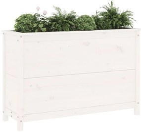 Canteiro elevado de jardim 119,5x40x78 cm pinho maciço branco