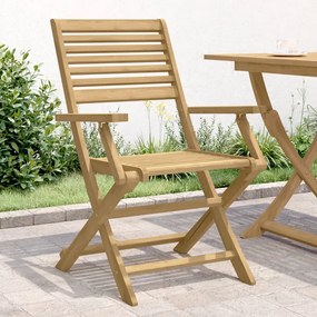 Cadeiras jardim dobráveis 2 pcs 54,5x61,5x86,5 cm acácia maciça