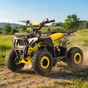 MINI MOTO 4 GASOLINA PARA CRIANÇAS Bull 49cc tipo ATV Amarela