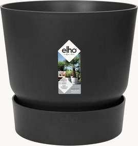 Vaso Greenville