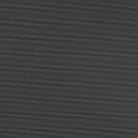 Toldo lateral retrátil 220x1200 cm preto