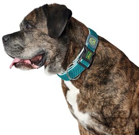 Coleira para Cães Hunter Plus Fio Turquoise Turquesa Tamanho XL (45-70 cm)