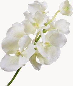 Flores artificiais Vanda, conjunto de 2