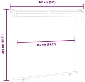 Toldo lateral para varanda 165x250 cm preto