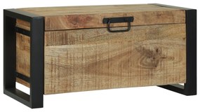 Caixotes de Armazenamento 60x30x30cm Madeira de Mangueira Maciça e Met