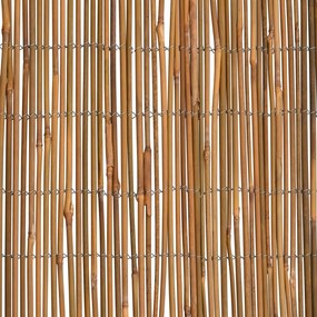 Cerca em bambu 500x100 cm