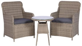 44149 vidaXL Conjunto bistrô com almofadões 3 pcs vime PE castanho
